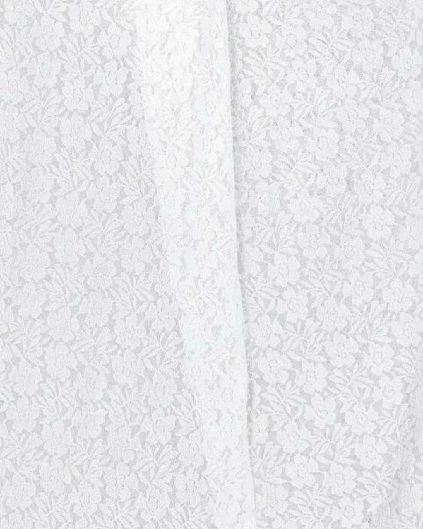 Net white lace border Saree